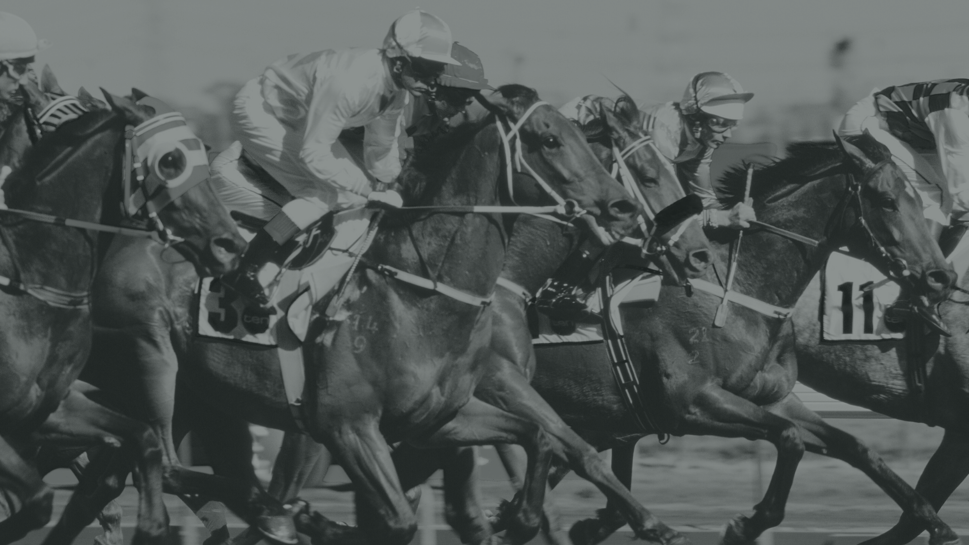 Home untitled design 2026 02 27t114108.948