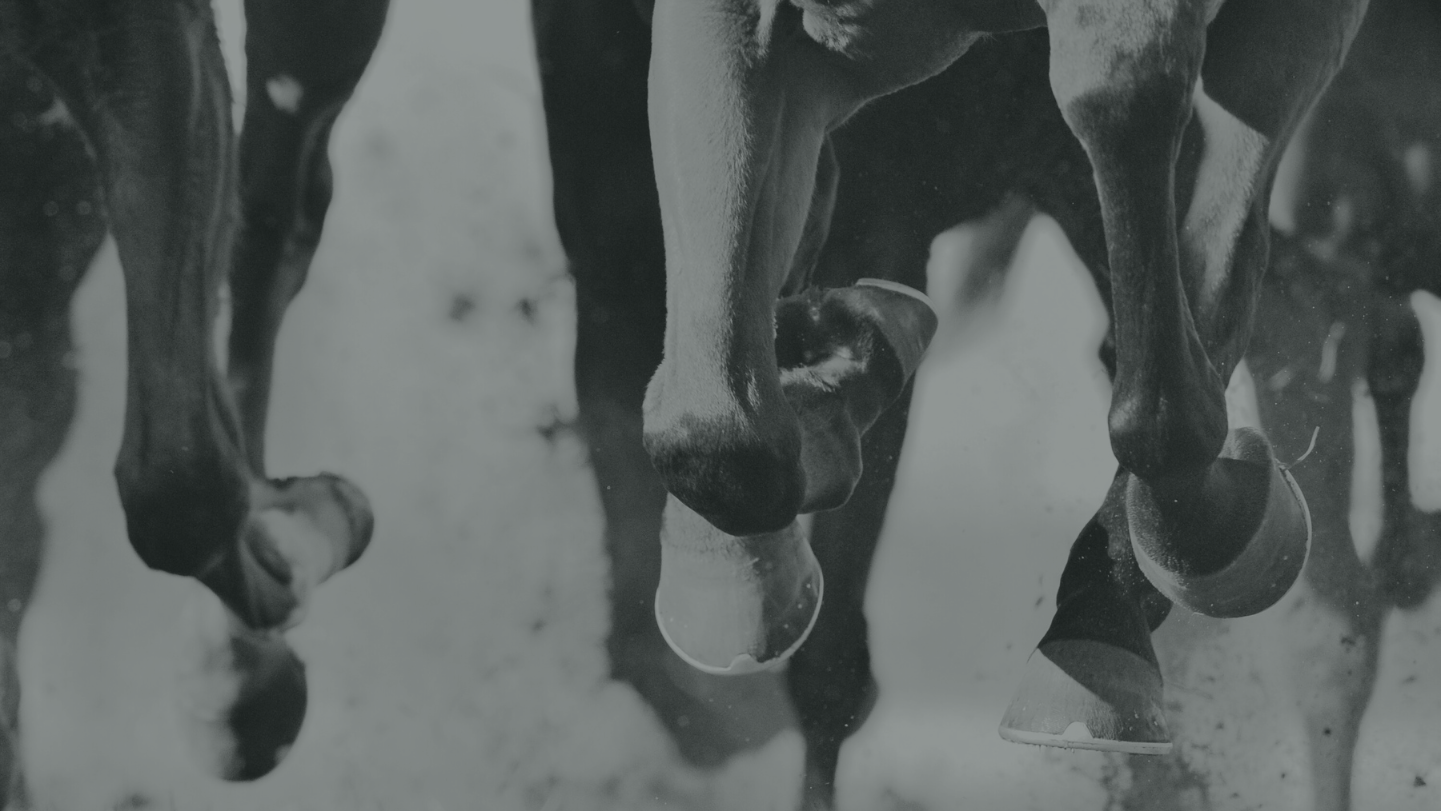 Home untitled design 2026 02 27t114412.738