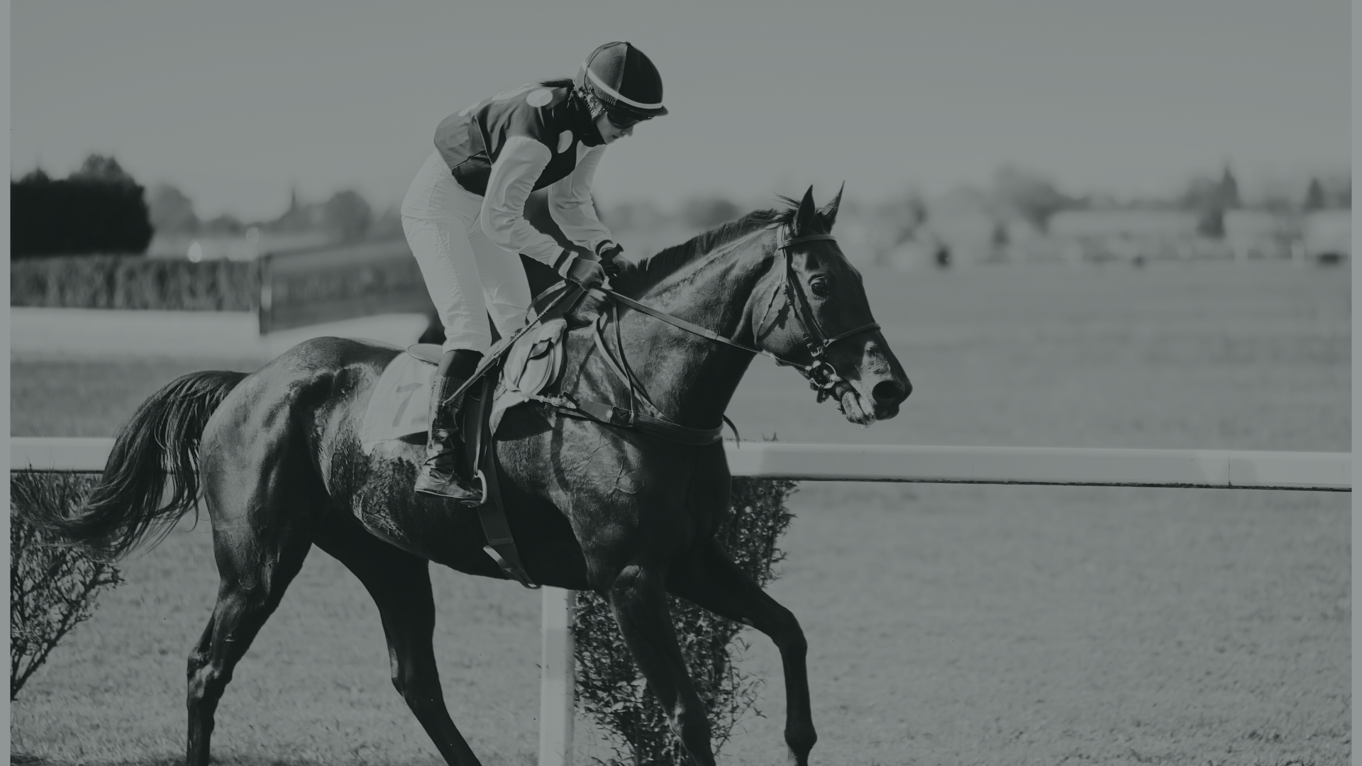 Home untitled design 2026 03 05t135022.838